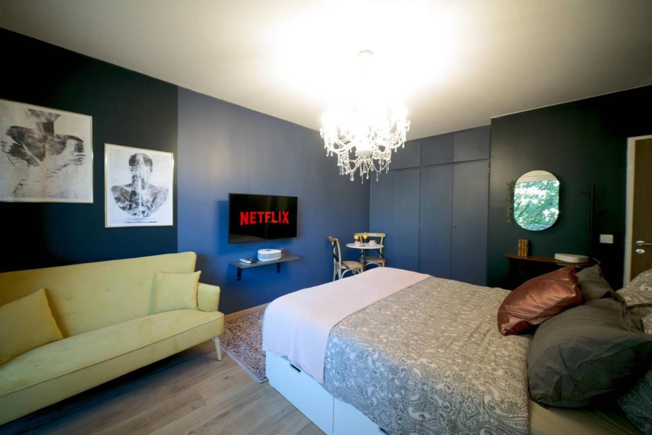 Le Boudoir, Centre Ville, Parking Couvert Inclus Mulhouse Extérieur photo